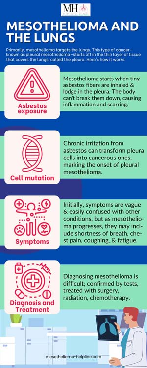 Which Organs Affected By Mesothelioma | Aware