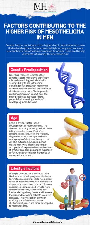 Why are men more susceptible to mesothelioma? | Discover in 2024